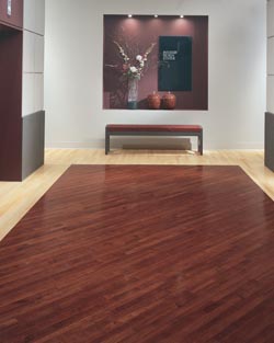 Pet-Friendly Flooring Hooksett NH Pet-Friendly Flooring Hooksett NH